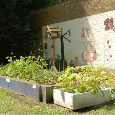 Vegetable beds at Knowle Green